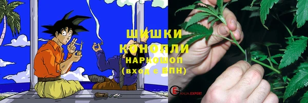 индика Покачи