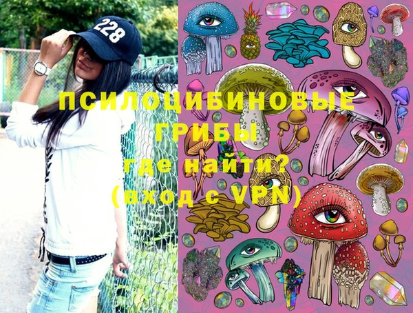 молекула духа Абинск