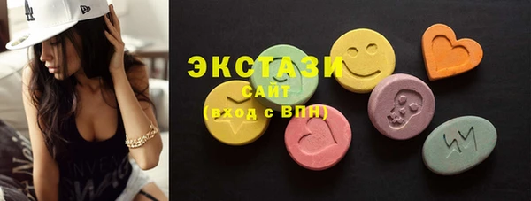 индика Покачи