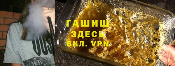 индика Покачи