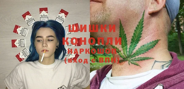 индика Покачи