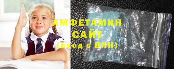 индика Покачи