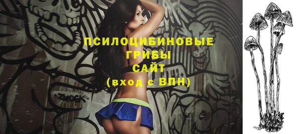молекула духа Абинск