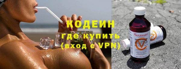 индика Покачи